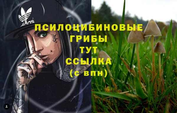спайс Костерёво