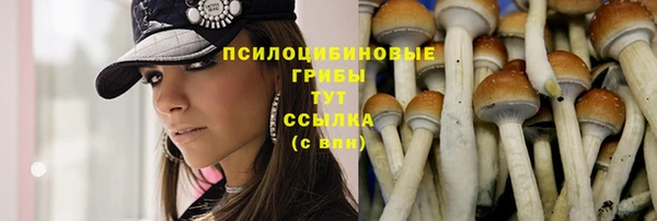 спайс Костерёво